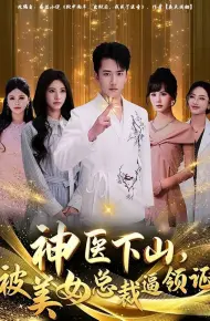 神医下山,被美女总裁逼领证