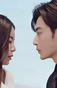 假秘书的完美契约