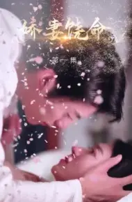 娇妻饶命