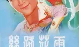 丝路花雨