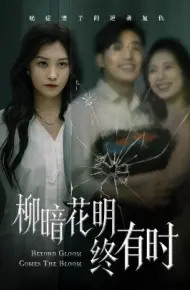 柳暗花明终有时