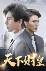 天下财皇