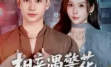 相亲遇警花，破案爽到飞起