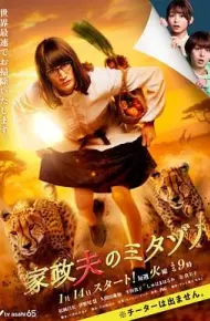 家政夫三田园 第7季