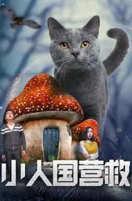小人国营救