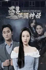 至尊镇国神婿
