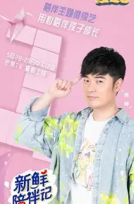 新鲜陪伴记