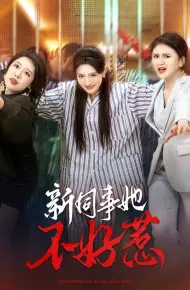 新同事她不好惹