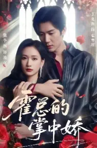 霍总的掌中娇