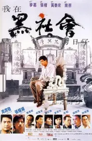 我在黑社会的日子