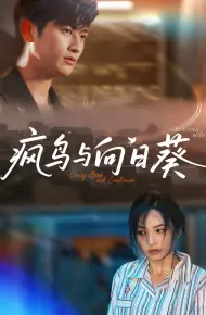 疯鸟与向日葵