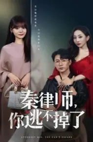 秦律师，你逃不掉了
