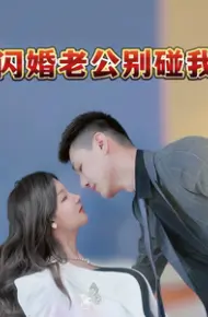 闪婚老公别碰我