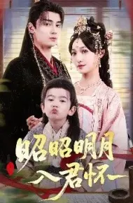 昭昭明月入君怀
