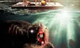 僵尸海狸