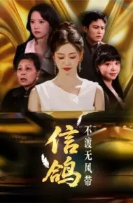 信鸽不渡无风带