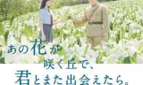 与你再遇鲜花盛开之丘
