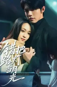 错把路灯当月光