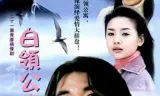 白领公寓