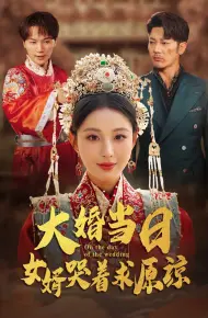 大婚当日，女婿哭着求原谅