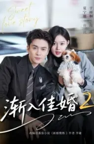 渐入佳婚2