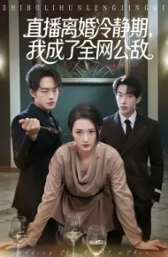 直播离婚冷静期，我成了全网公敌