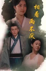 相看两不厌(这个王妃不好惹)