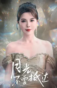 月光不曾抵达