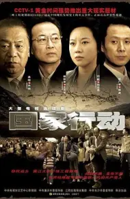 国家行动