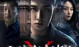 X局密档