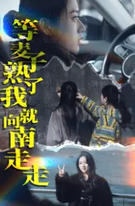 等麦子熟了我就向南走走