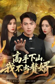 高手下山我不当赘婿