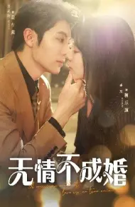 无情不成婚