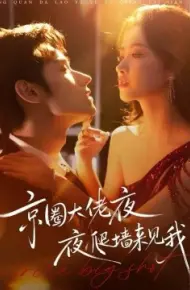 京圈大佬夜夜爬墙来见我 吻上瘾，顾总他破防了