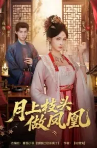 月上枝头做凤凰
