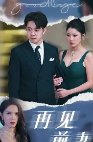 再见前妻