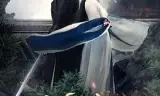 皎月流火