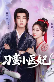 刁蛮小医妃