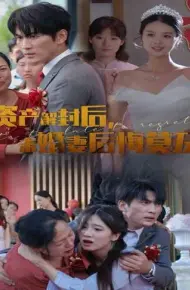 资产解封后,未婚妻后悔莫及(新版:破茧)
