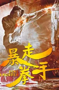 暴走拳手