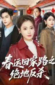 春运回家路之绝地反杀
