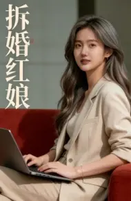 拆婚红娘