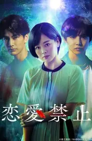 恋爱禁止