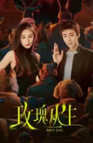 玫瑰丛生