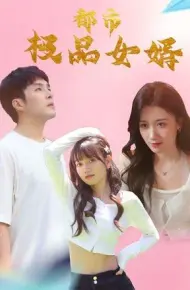 都市极品女婿