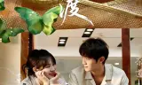 烬羽渡