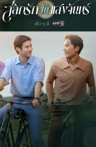 月光挚情