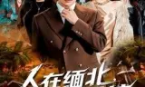人在缅北，神豪系统绑定美女杀