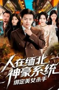 人在缅北,神豪系统绑定美女杀