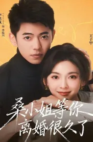 桑小姐，等你离婚很久了
